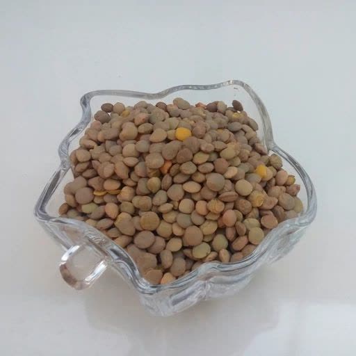 عدس محلی ارگانیک ثمرات یک کیلویی