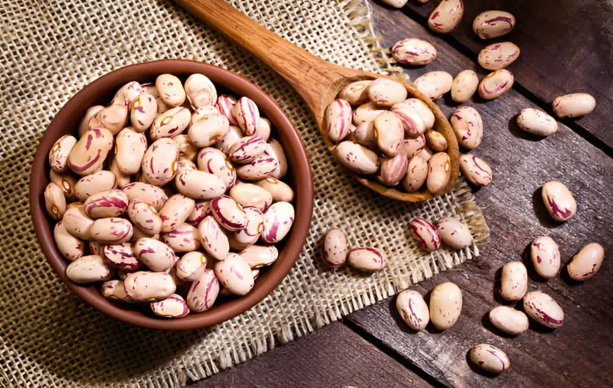 لوبیا چیتی ثمرات ارگانیک و مرغوب یک کیلویی