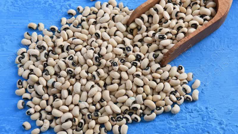 لوبیا چشم بلبلی ثمرات ارگانیک و اعلا یک کیلویی